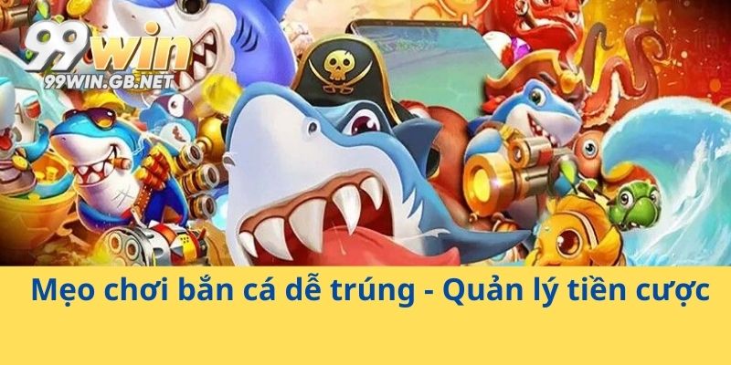Mẹo chơi bắn cá dễ trúng - Quản lý tiền cược